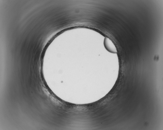 X0000114200888200911200957