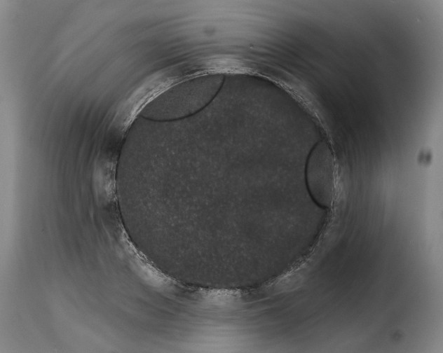 X0000114200889200911200957