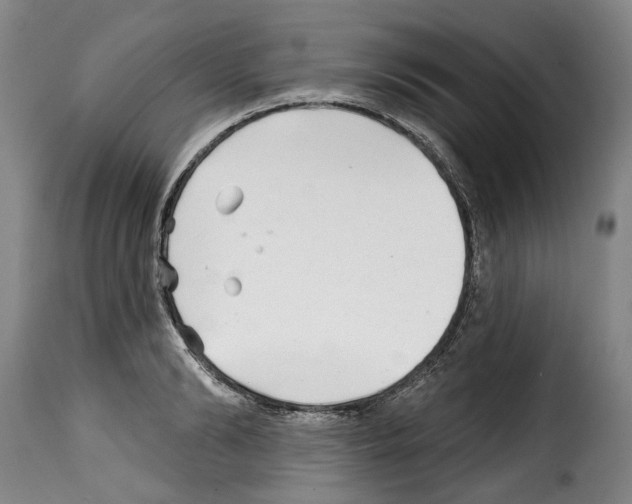 X0000114200894200911200957