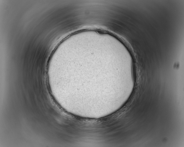 X0000114200895200911200957