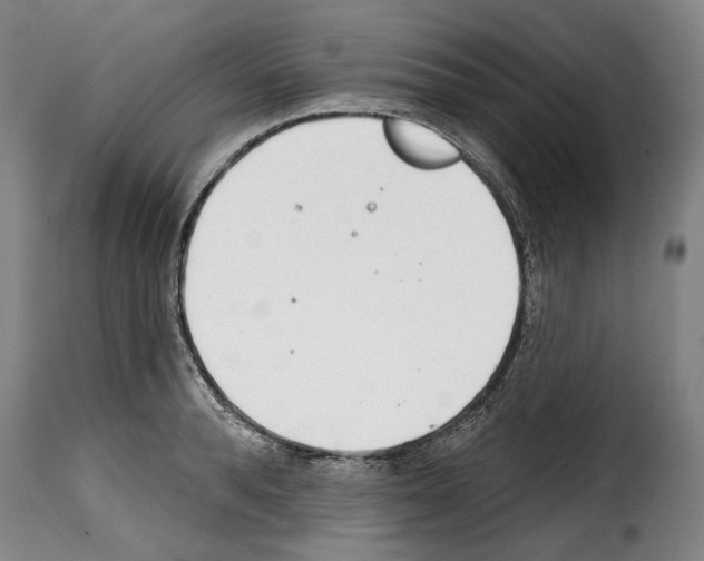 X0000114200896200911200957