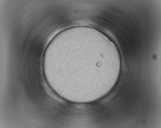 X0000114200899200911200957