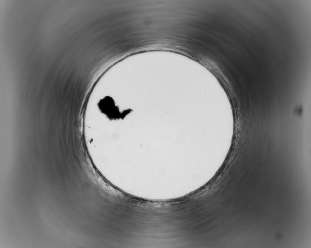 X0000114200900200911200957