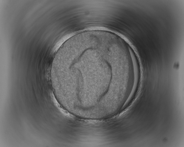 X0000114200905200911200957