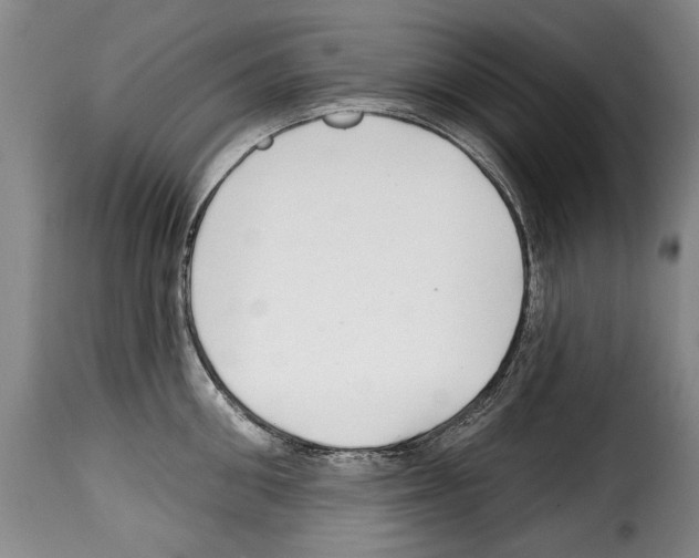 X0000114200906200911200957