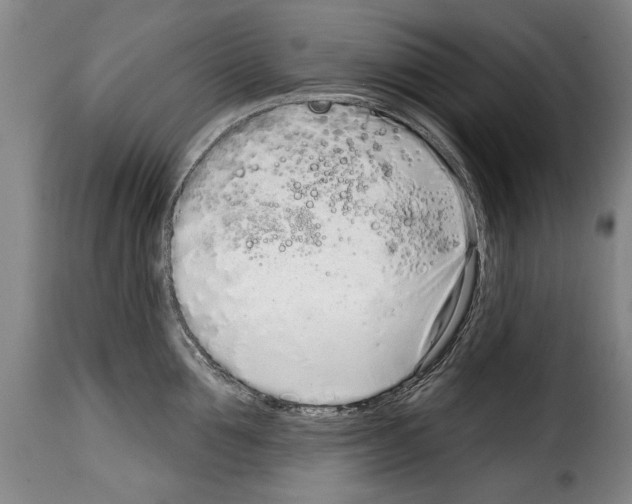 X0000114200907200911200957