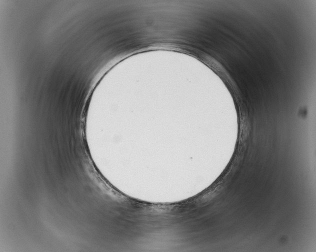 X0000114200908200911200957