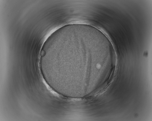 X0000114200909200911200957