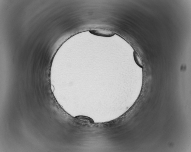 X0000114200912200911200957