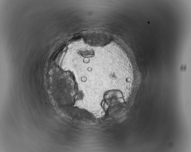 X0000114200913200911200956