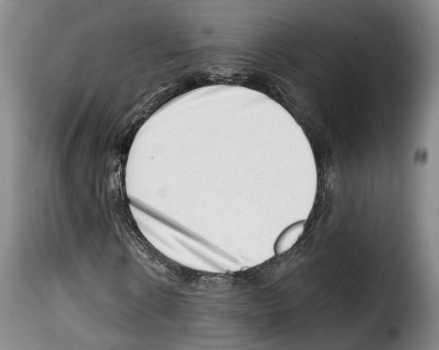 X0000114200914200911200956