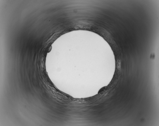 X0000114200915200911200956