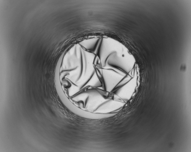 X0000114200916200911200956