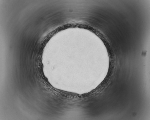 X0000114200919200911200956