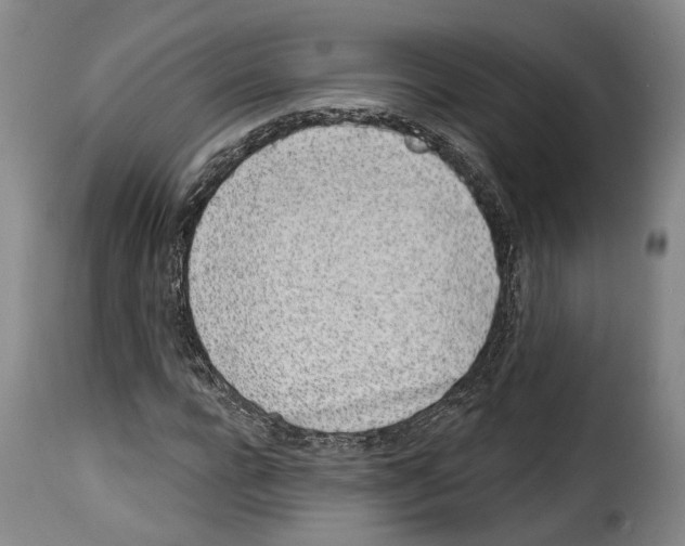 X0000114200920200911200956