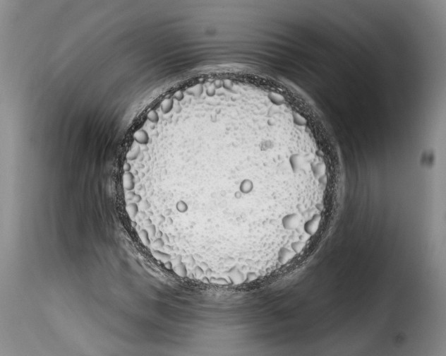 X0000114200921200911200956