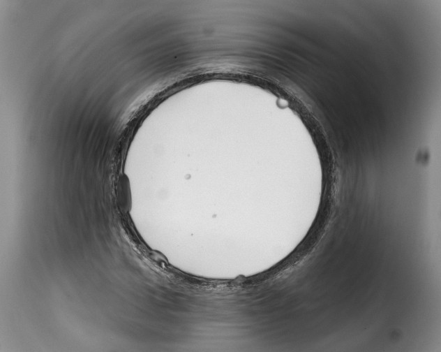 X0000114200922200911200956