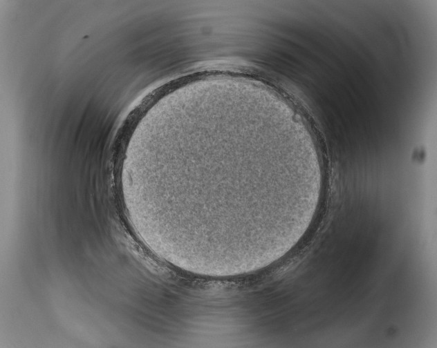 X0000114200923200911200956