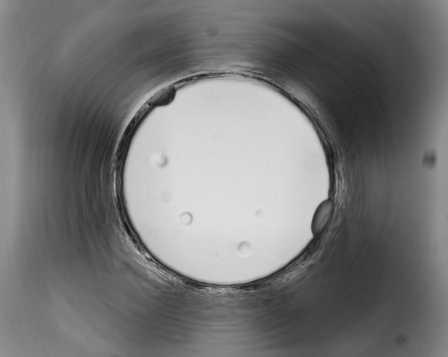 X0000114200924200911200956