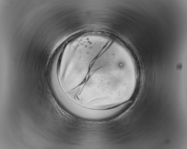 X0000114200925200911200956