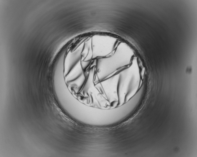 X0000114200926200911200956