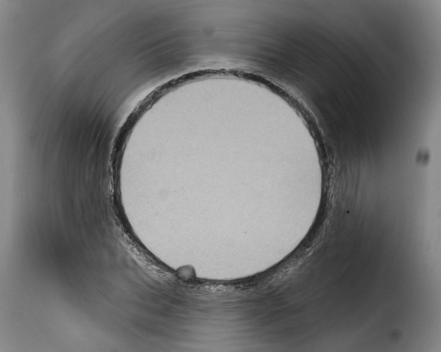 X0000114200927200911200956