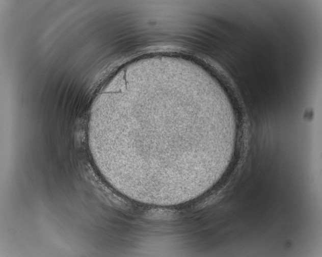 X0000114200929200911200956