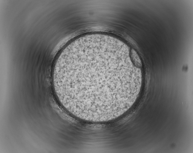 X0000114200930200911200956