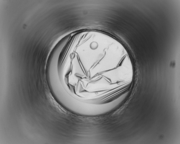 X0000114200932200911200956