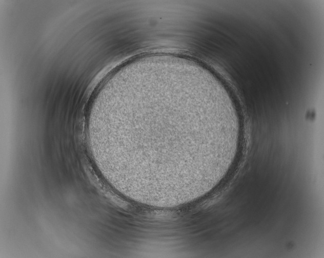 X0000114200933200911200956