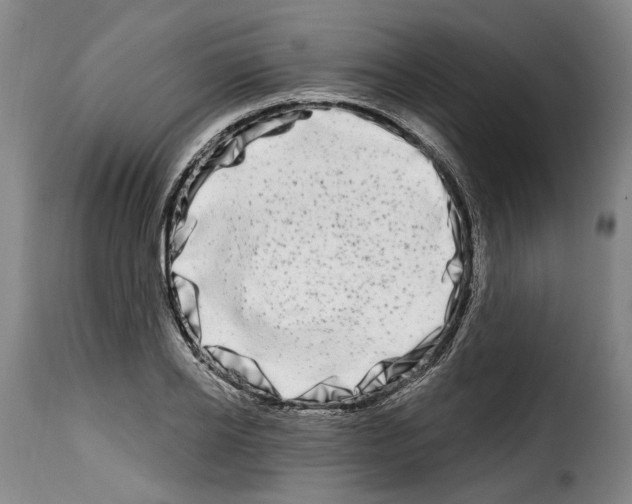 X0000114200934200911200956