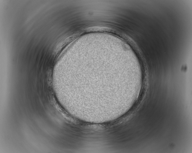 X0000114200937200911200956