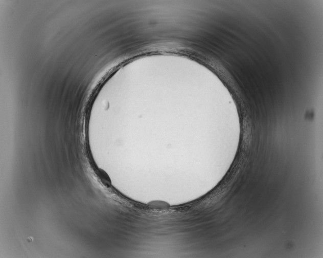 X0000114200939200911200956