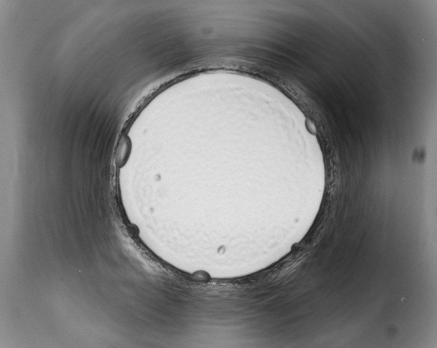 X0000114200940200911200956