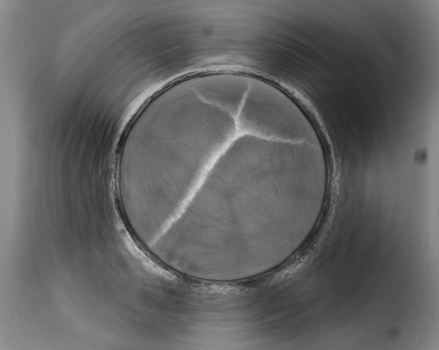 X0000114200941200911200956