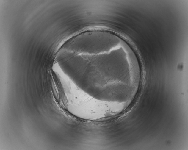 X0000114200945200911200956