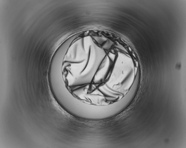 X0000114200946200911200956