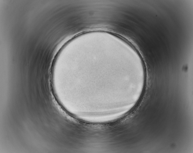 X0000114200949200911200956