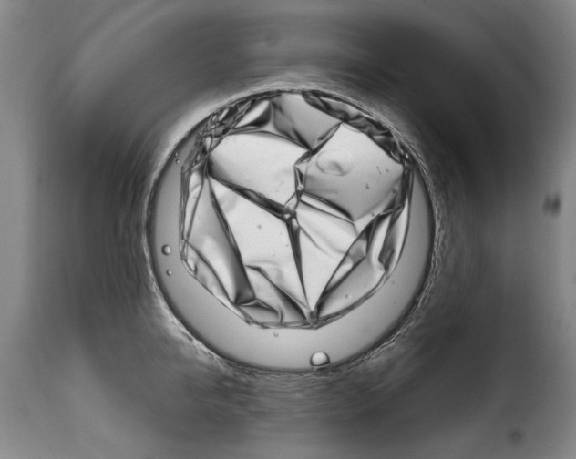 X0000114200950200911200956