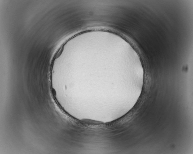 X0000114200951200911200956