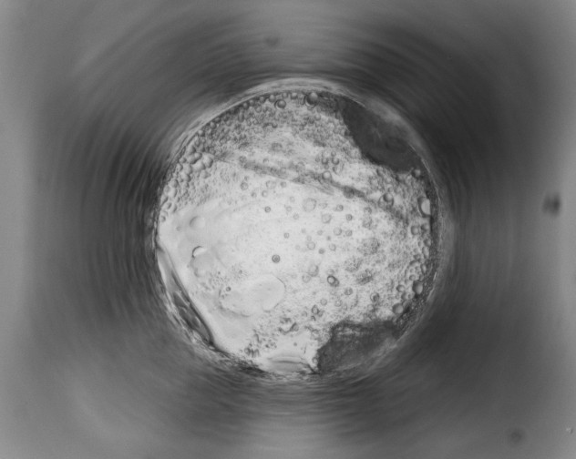 X0000114200953200911200956