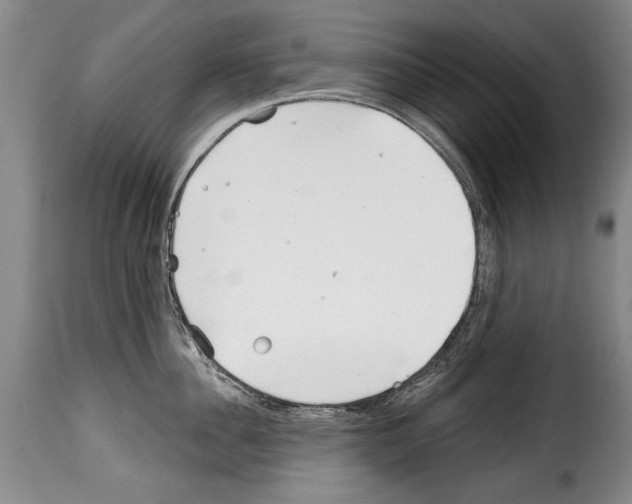 X0000114200956200911200956