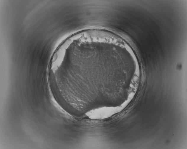 X0000114200958200911200957