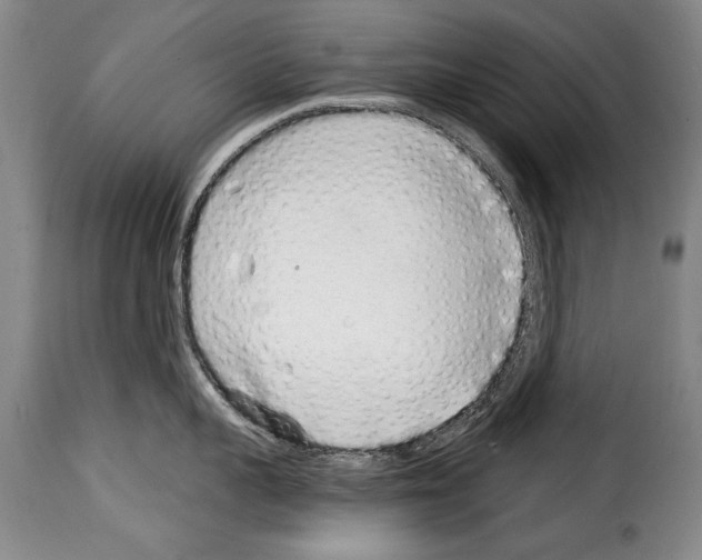 X0000114200959200911200957