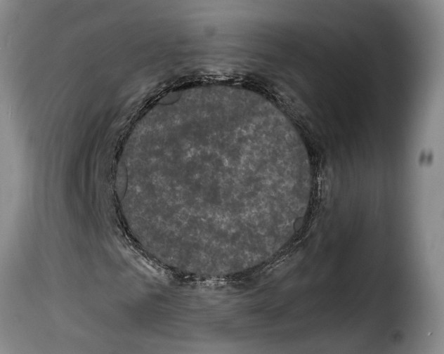 X0000114200961200911200956