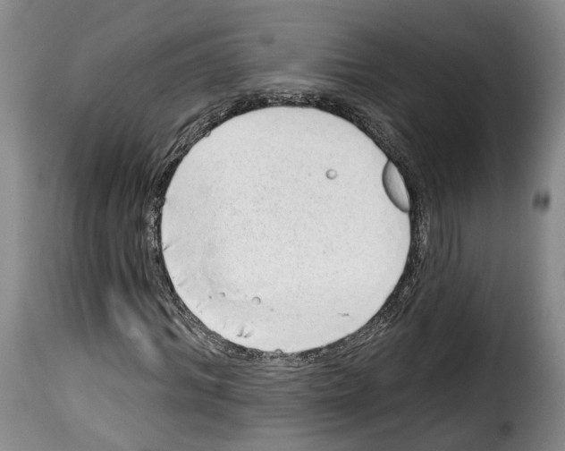 X0000114200964200911200956