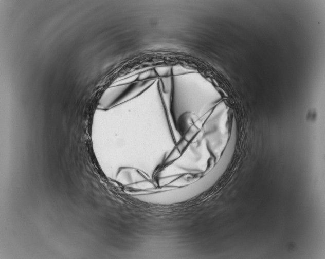 X0000114200965200911200956