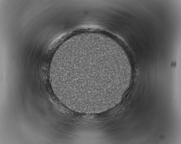 X0000114200967200911200956