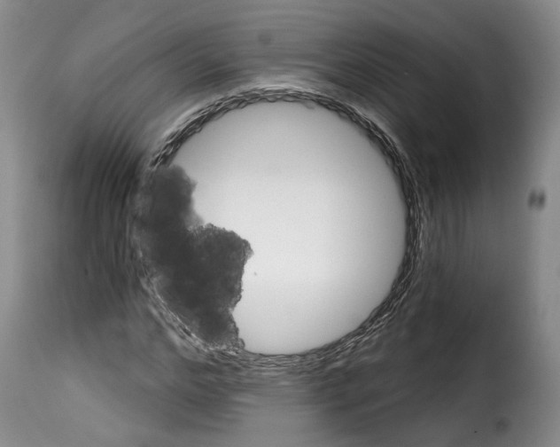 X0000114200968200911200956