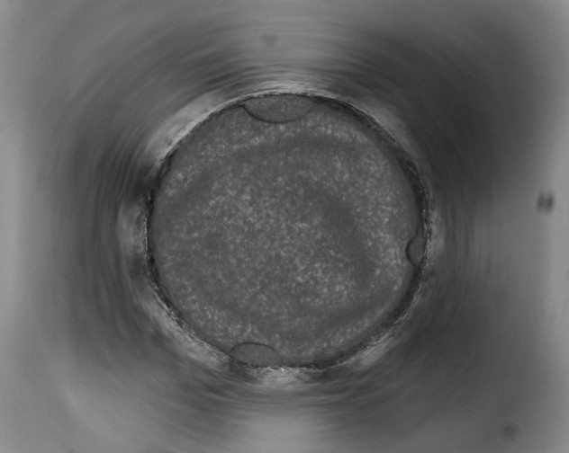 X0000114200969200911200956